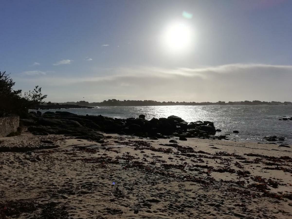 Les Roches Du Cabellou 150M De La Mer Concarneau Ngoại thất bức ảnh