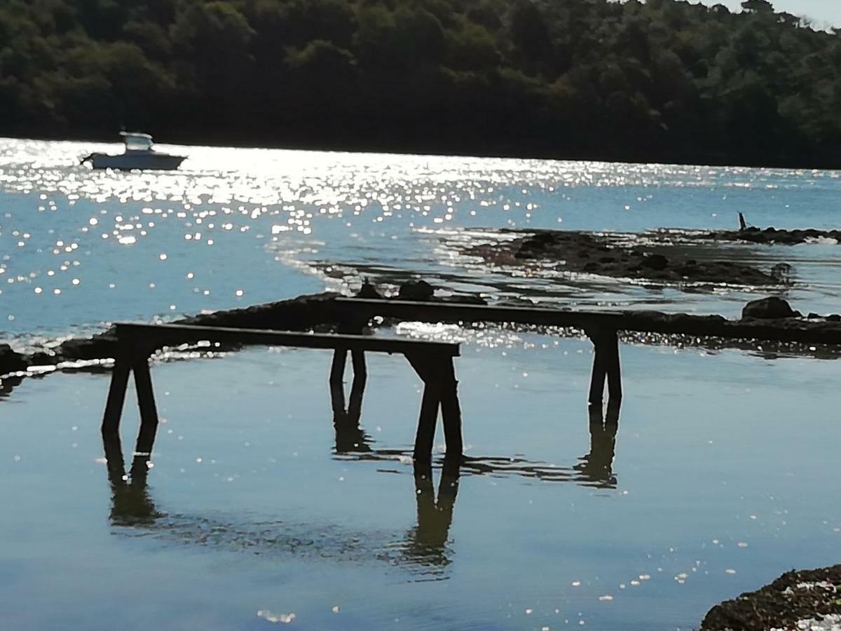 Les Roches Du Cabellou 150M De La Mer Concarneau Ngoại thất bức ảnh